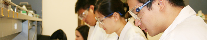 Students working in a lab