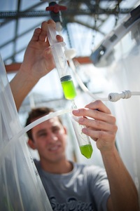 A researcher inspecting lab work