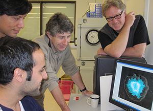 In the lab, Tal Danino, Octavio Mondragon, Lev Tsimring and Jeff Hasty synchronized the genetic clocks in bacteria