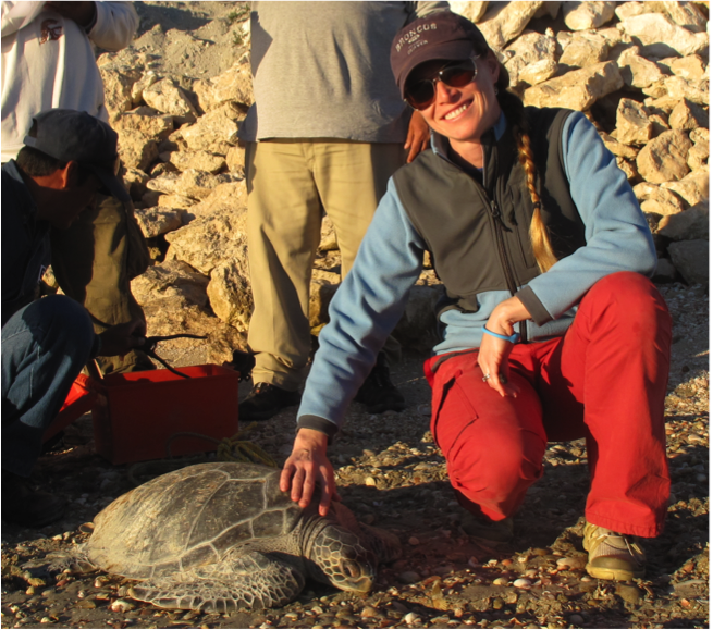 Cali Turner Tomaszewicz in Baja California with an East Pacific green sea turtle.