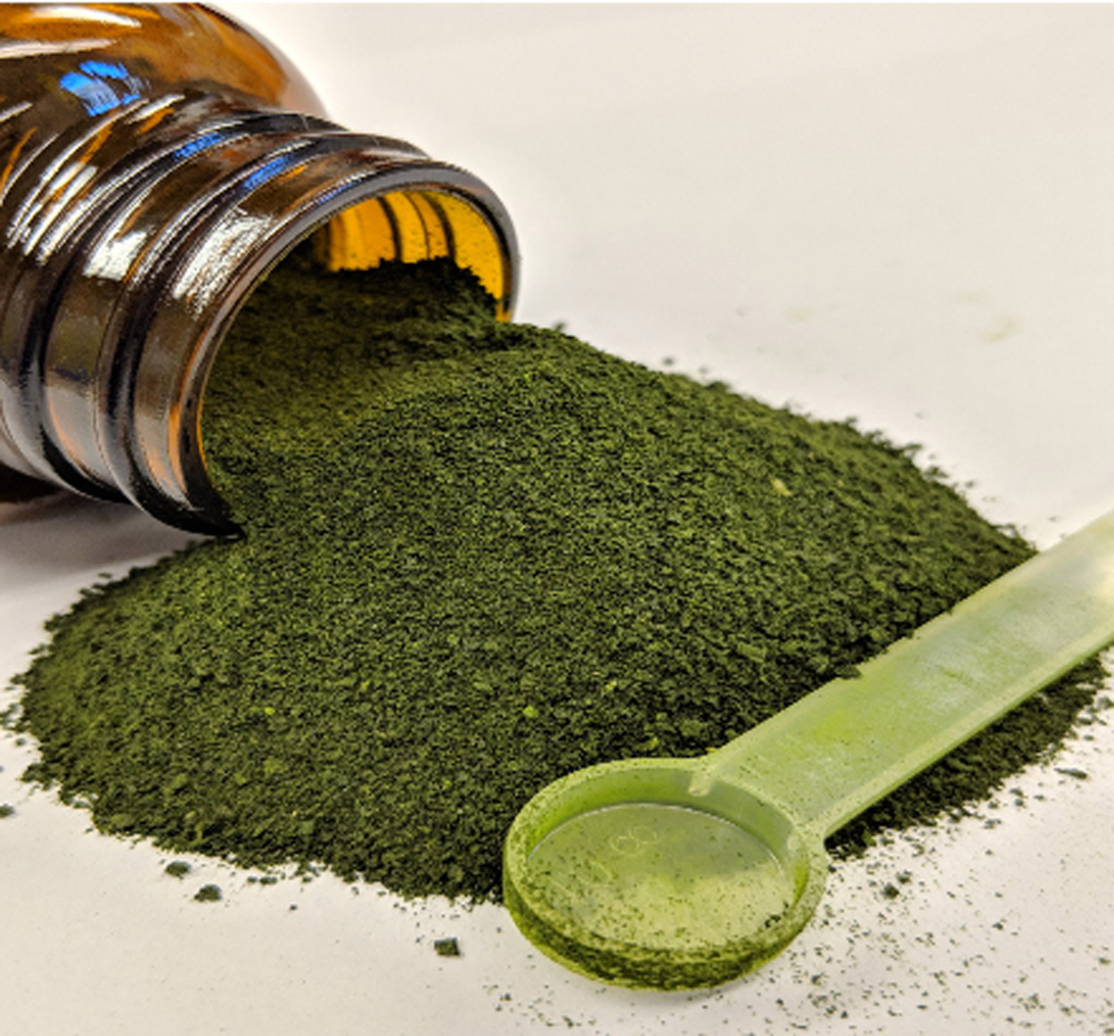 Green algae powder spilled out of a bottle with a small plastic spoon next to the powder