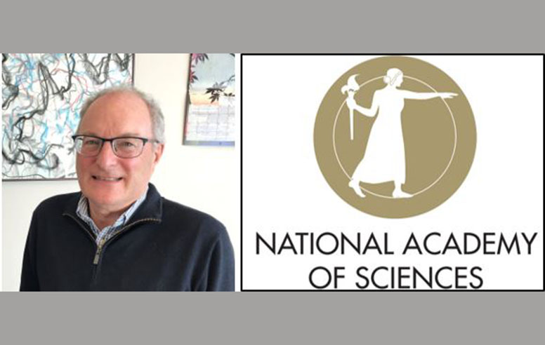 Professor Murre elected to NAS
