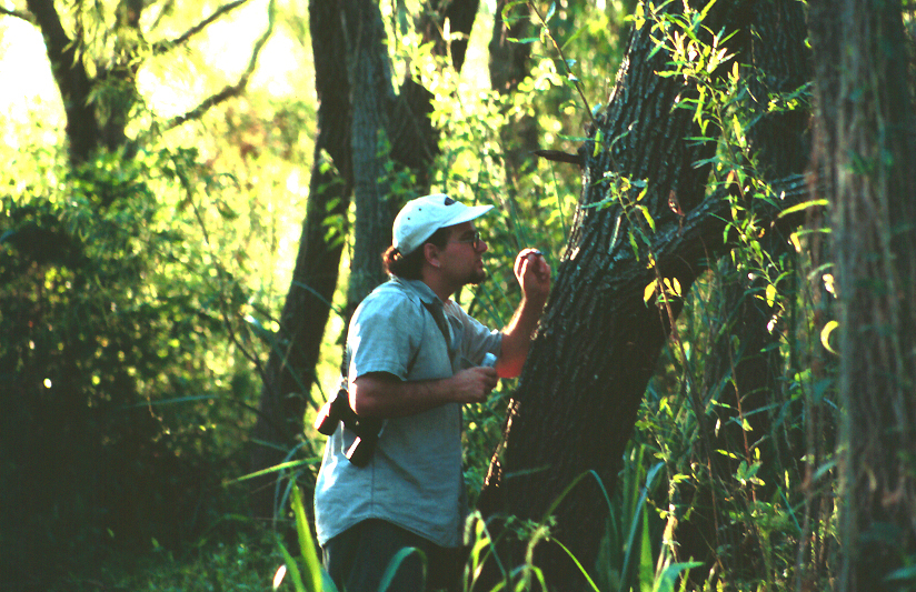 Andrew Suarez in Argentina searching for Argentine ants