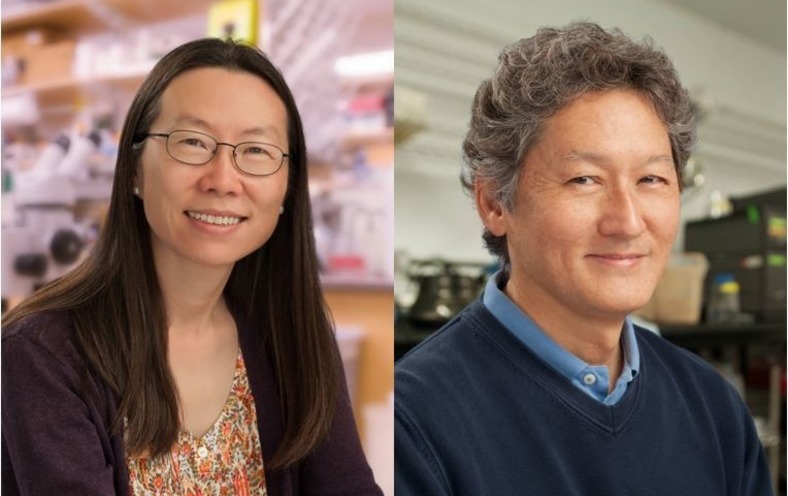 Professors Elected to National Academy of Sciences