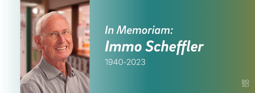 In Memoriam: Immo Scheffler