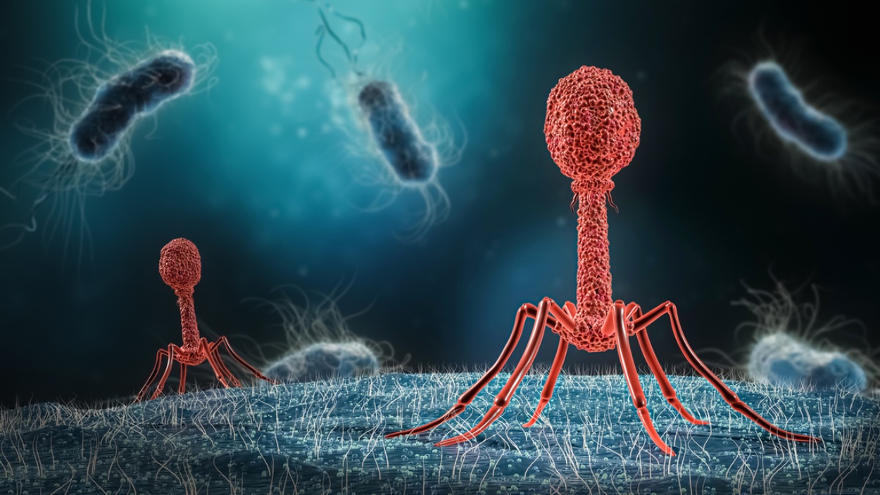 DNA strands interacting with virus