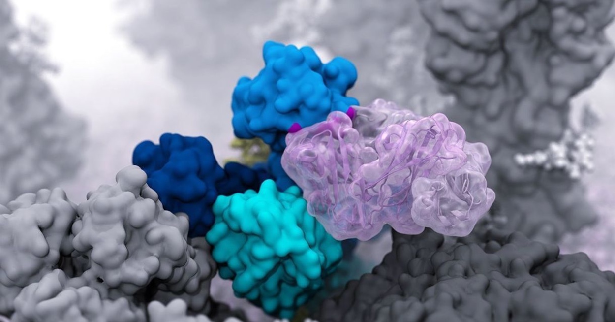 Airborne virus molecule