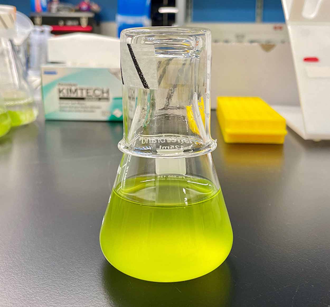 Lab vial