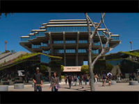 Library Walk filled with students