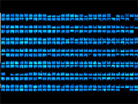 Biopixels